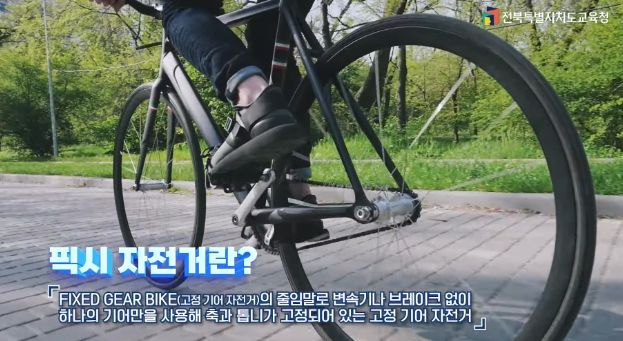 픽시 자전거 안전사고 예방 영상 5종 제작·배포