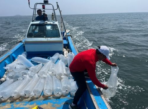 전북자치도, 어린꽃게 20만 마리 무상방류