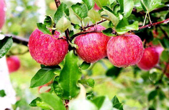 전북도, 호우에 따른 재난안전대책본부 비상 1단계 선제적 가동